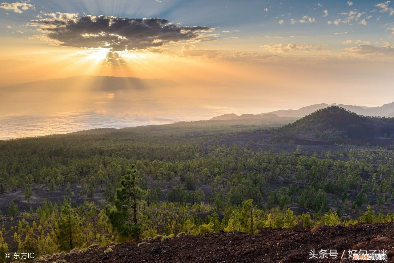 好听又有内涵的微信名字 微信网名 简单又好听