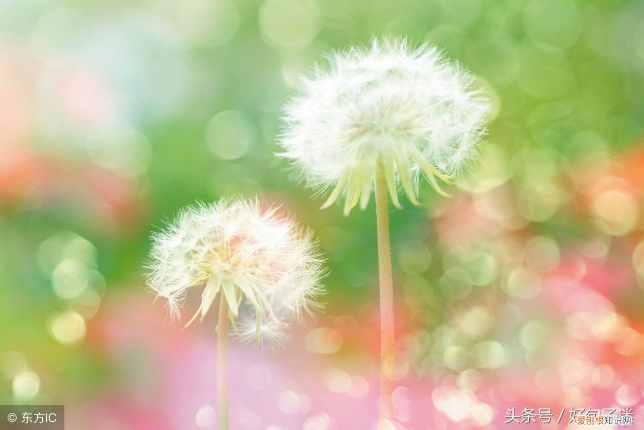 好听又有内涵的微信名字 微信网名 简单又好听