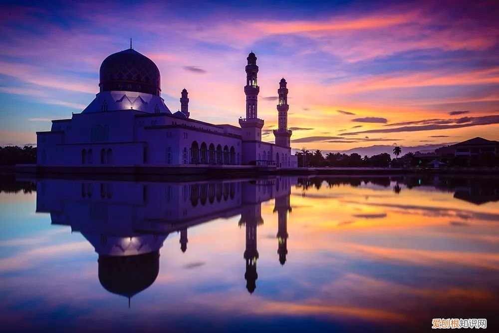 单反单反，到底什么是单反 相机单反是什么意思