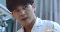 何医生林医生是什么电视剧，产科医生林医生和曲院长关系