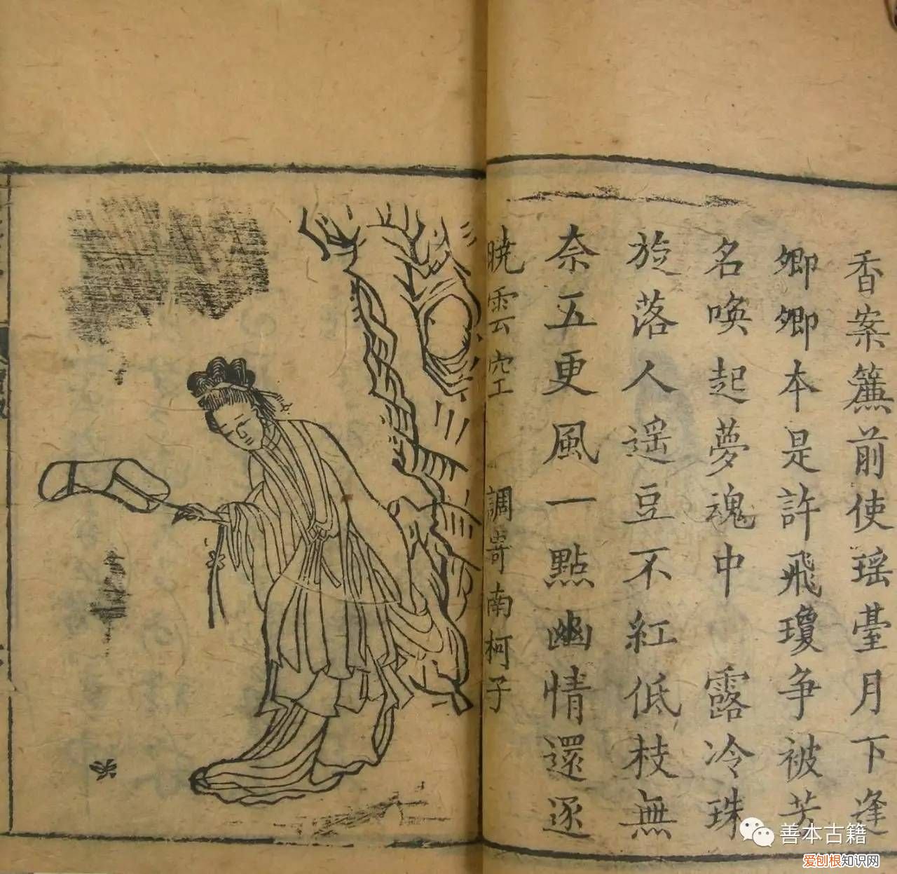 曹雪芹与红楼梦的故事  曹雪芹与红楼梦