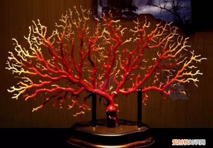 教你5招辨别真假红珊瑚 红珊瑚鉴别