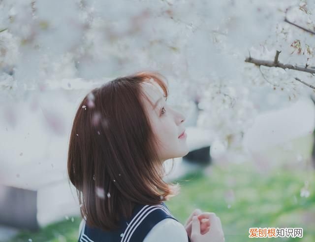 一个高品位的女人 品味女人