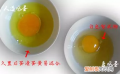 如何辨别“真假”鸡蛋？ 怎么辨别假鸡蛋