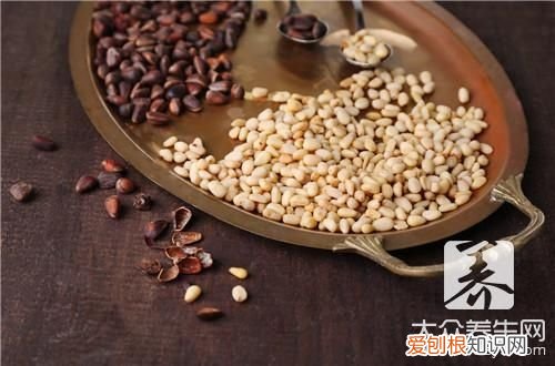 松子仁的功效与作用！ 松仁的营养价值！