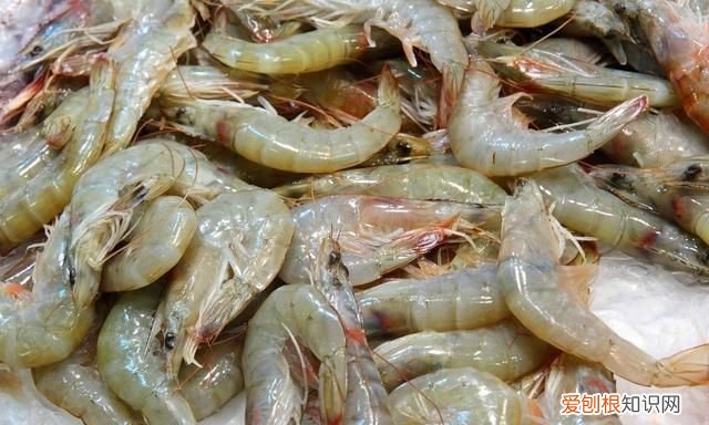 大虾保鲜有窍门直接放冰箱就错了