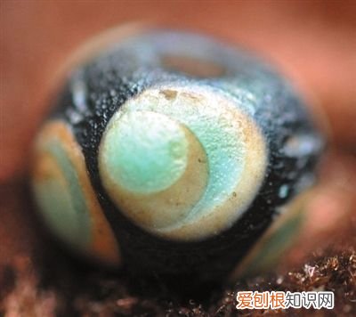 如何分辨老琉璃珠的真假 老琉璃珠