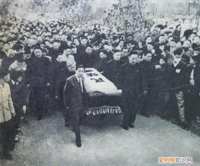 你看鲁迅的一生及影响 我看鲁迅