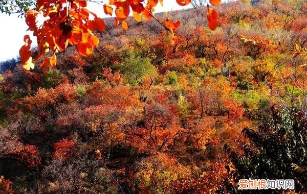 北京旅游攻略 北京旅游攻略2013