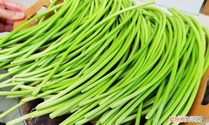 腌蒜苔只放盐就错了，教你正确做法 蒜苔的腌制方法