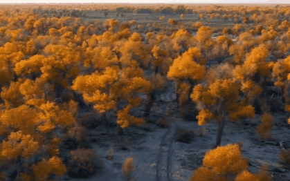 国庆小长假最值得去的14个地方 十一去哪里玩