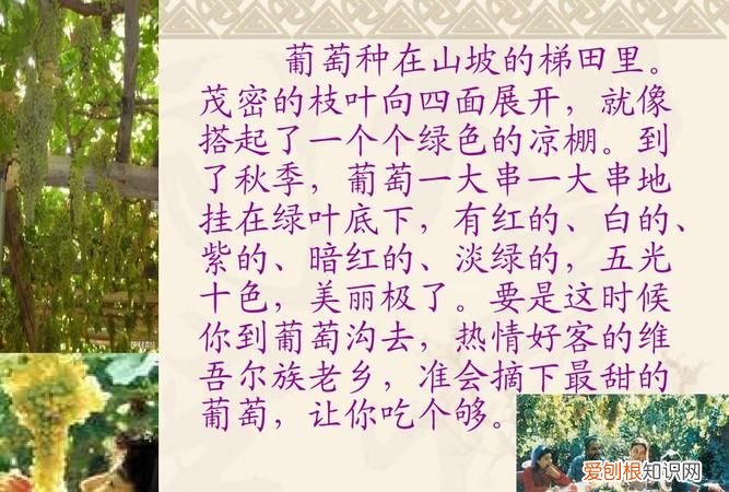 葡萄沟热情好客是什么意思