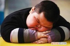 成年人肥胖症的危害 肥胖症的危害