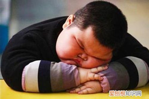 成年人肥胖症的危害 肥胖症的危害