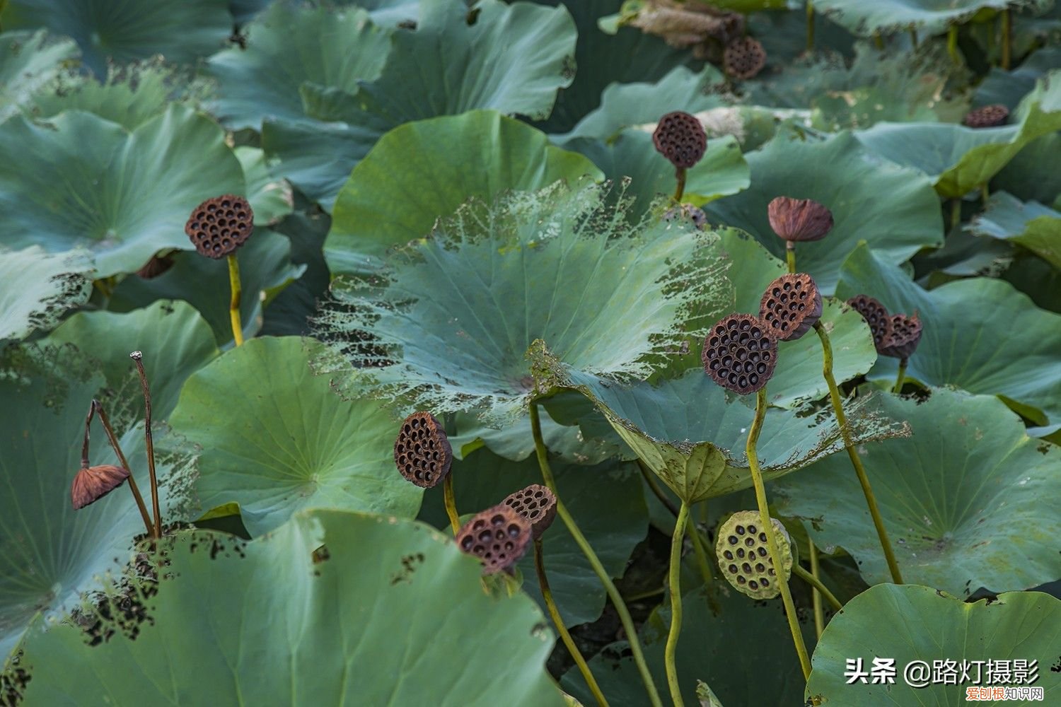 中国最受欢迎的5大旅游城 最适合旅游的地方