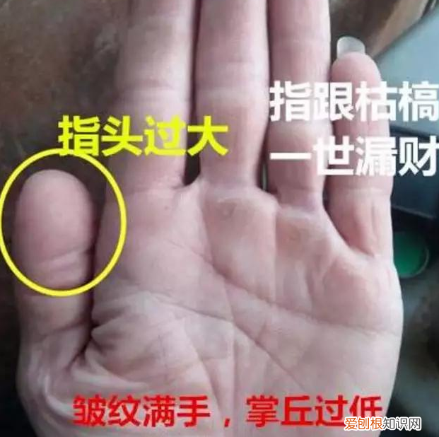 3分钟教你学会看手相 手相的看法