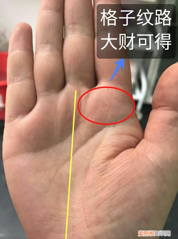 3分钟教你学会看手相 手相的看法