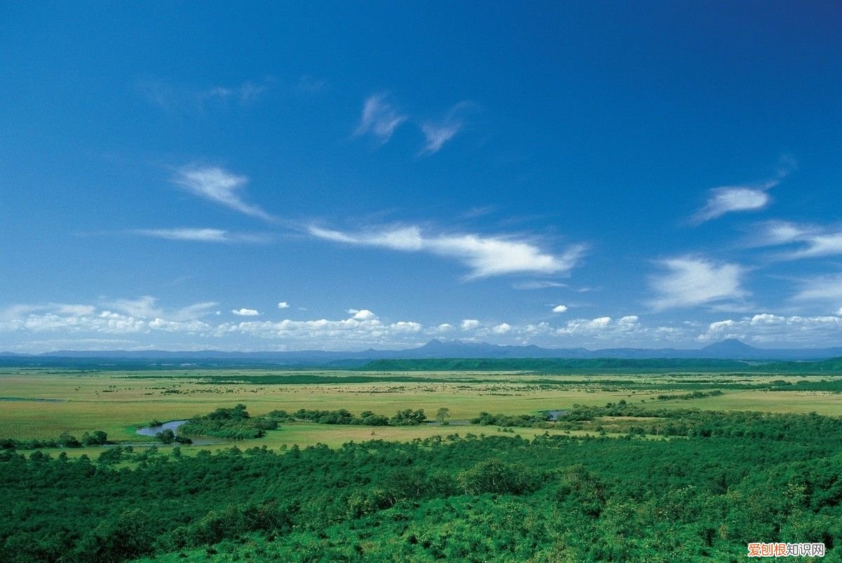 中考满分作文欣赏：爱的力量 爱的力量作文700字