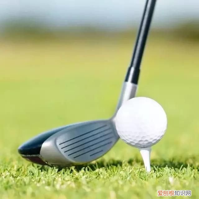 高尔夫球杆的分类？ 高尔夫球杆分类