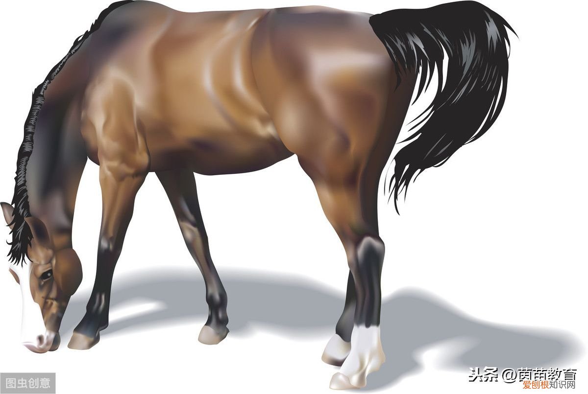 胖驴和瘦马 小学童话故事