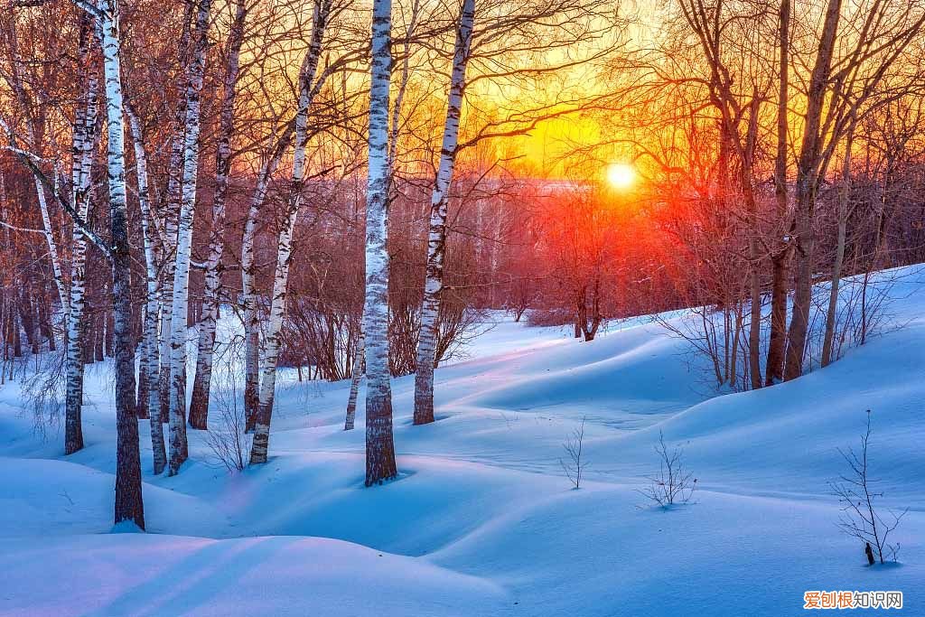 立冬和冬至,谁才是冬天的开始? 冬至是冬天的开始吗