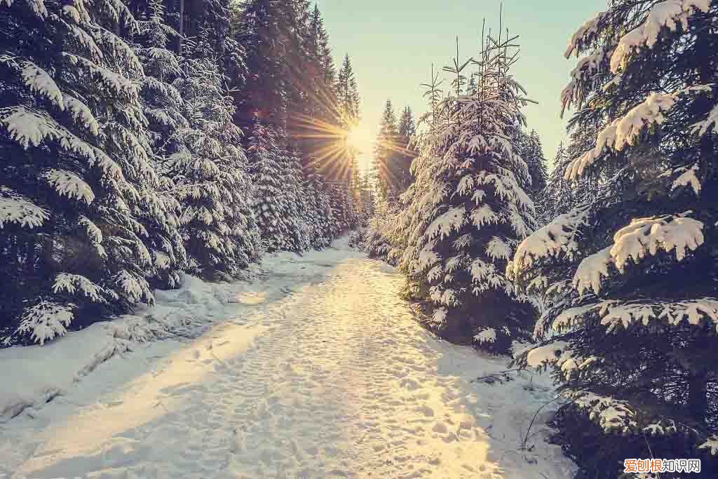 立冬和冬至,谁才是冬天的开始? 冬至是冬天的开始吗