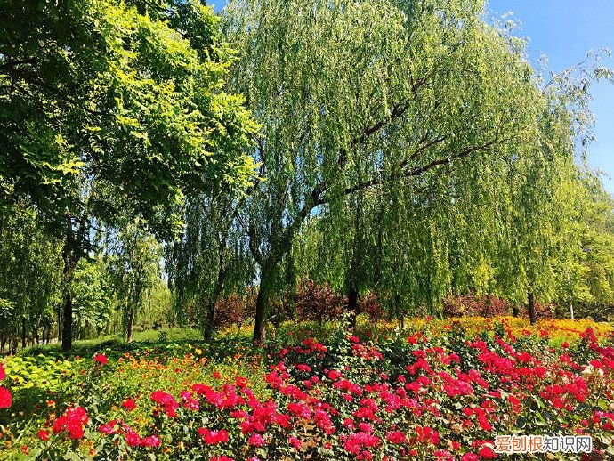 石家庄御秀水公园在哪 石家庄秀水公园