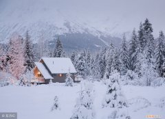 冬季如何滋补养胃 冬季养胃汤