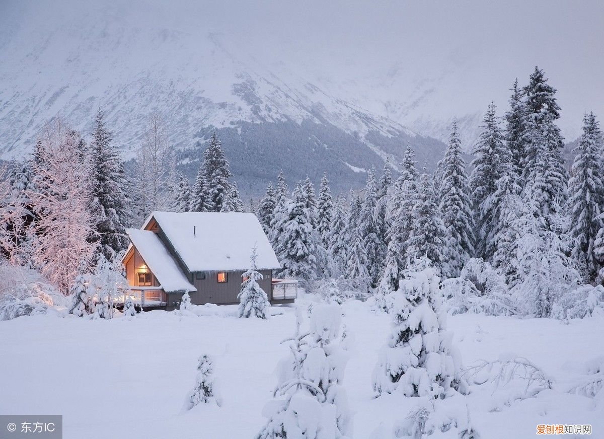 冬季如何滋补养胃 冬季养胃汤