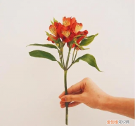 天冷了关心的暖心话 天冷了关心的句子