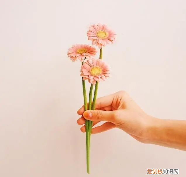 天冷了关心的暖心话 天冷了关心的句子