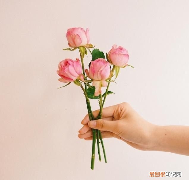 天冷了关心的暖心话 天冷了关心的句子