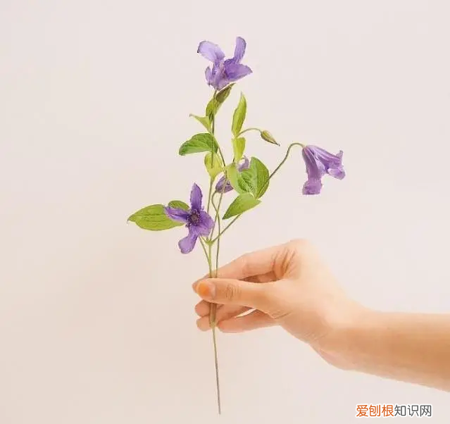 天冷了关心的暖心话 天冷了关心的句子