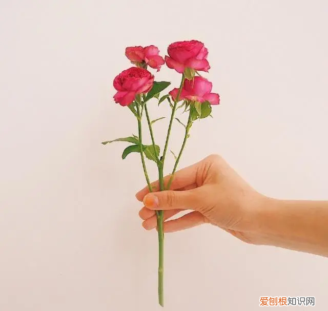 天冷了关心的暖心话 天冷了关心的句子