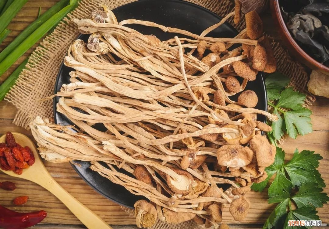 经常吃的几类菌菇 食用菌图片