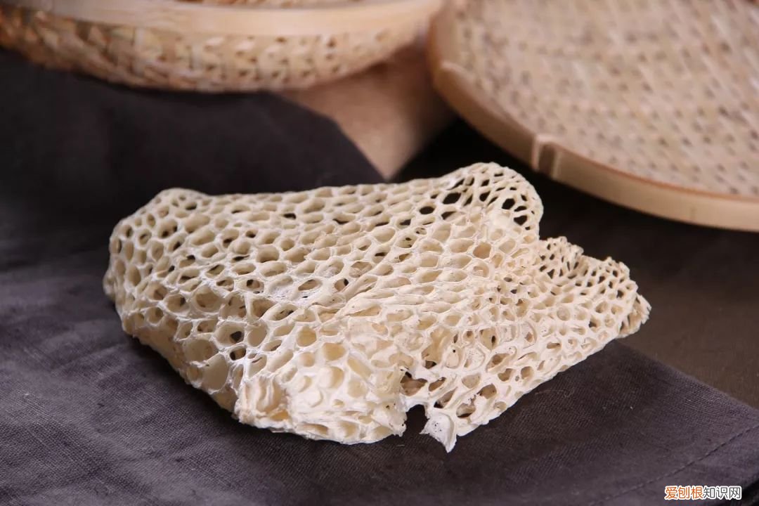 经常吃的几类菌菇 食用菌图片