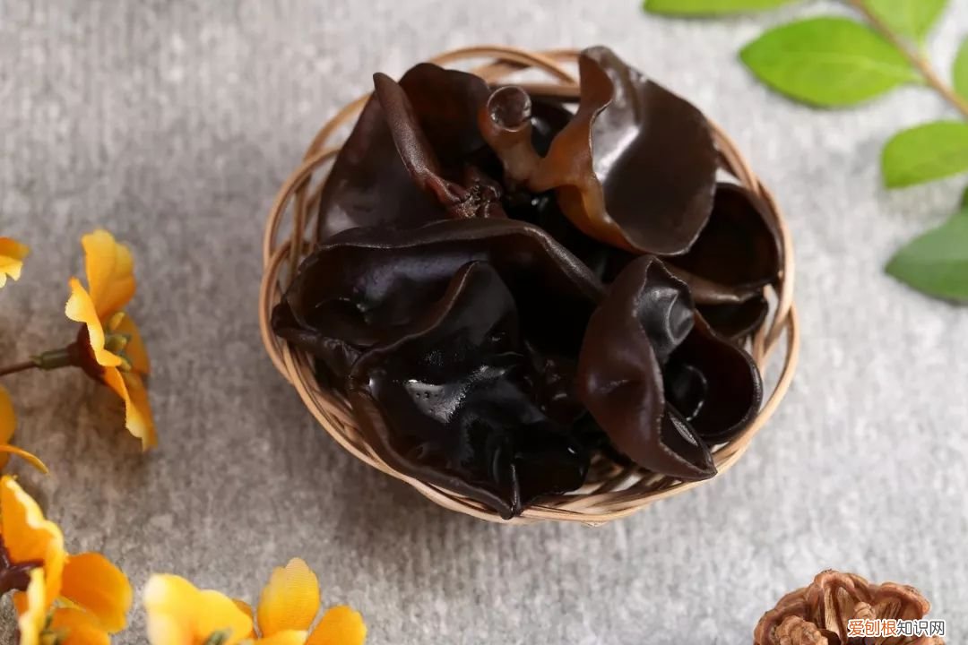 经常吃的几类菌菇 食用菌图片