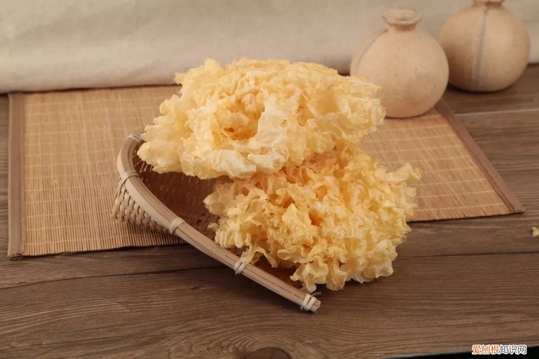 经常吃的几类菌菇 食用菌图片