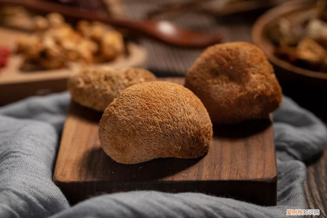 经常吃的几类菌菇 食用菌图片