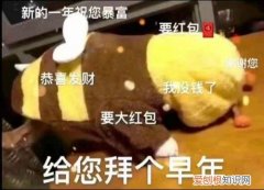 五字七言九言春联介绍 2021牛年新春顺口溜七言对联