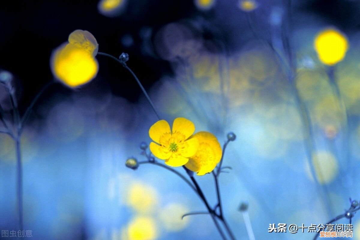 团队精神，极其重要 团队精神重要性