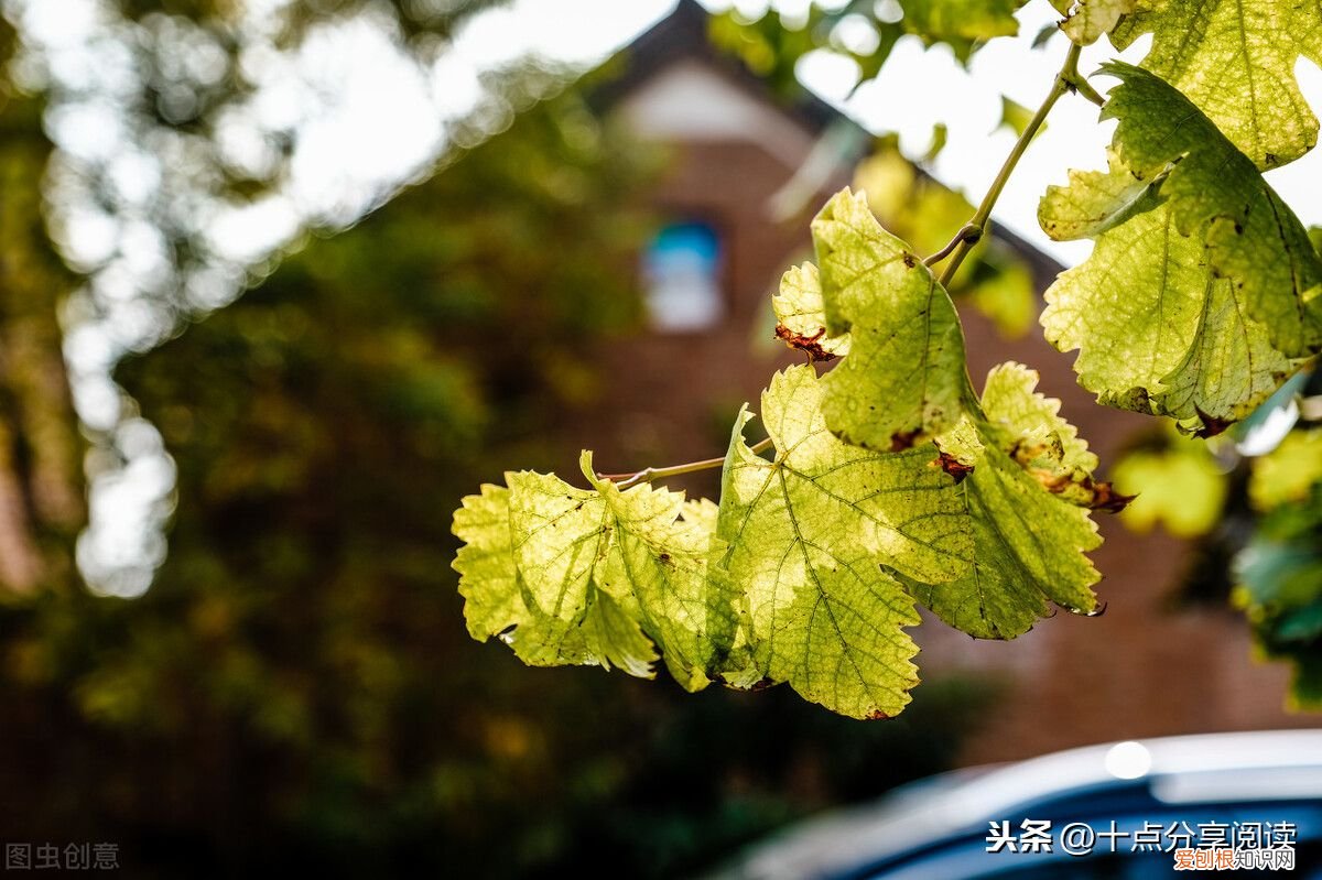 团队精神，极其重要 团队精神重要性