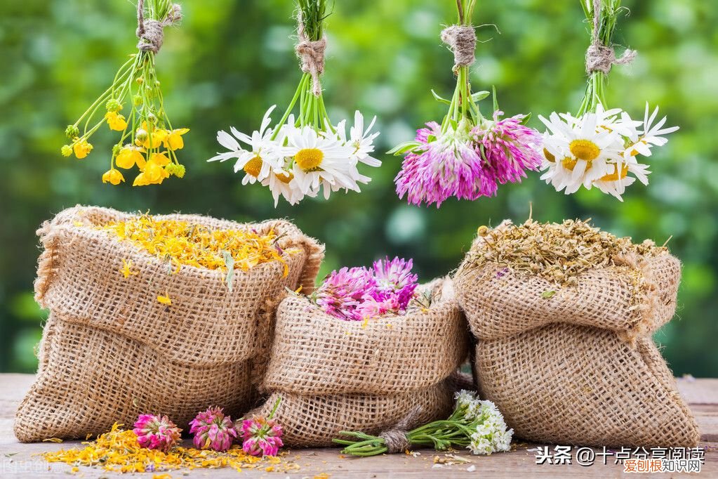 团队精神，极其重要 团队精神重要性