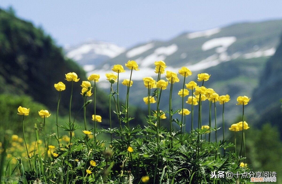 团队精神，极其重要 团队精神重要性