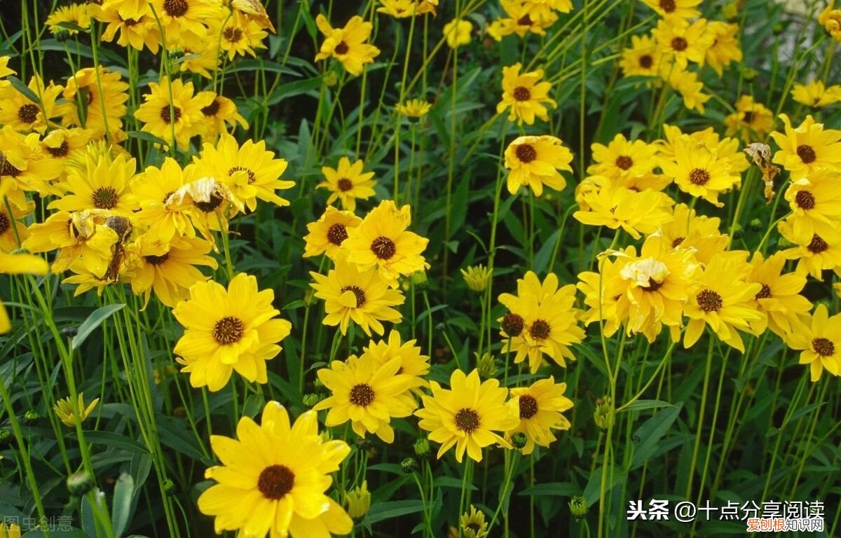 团队精神，极其重要 团队精神重要性