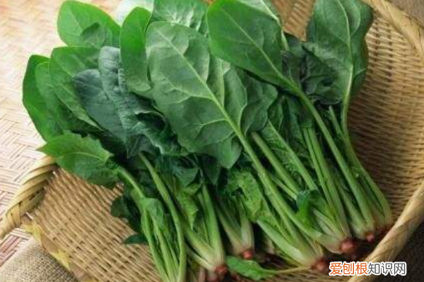 舌尖上的美味 清明节必吃的9种食物 清明节必吃的9种食物