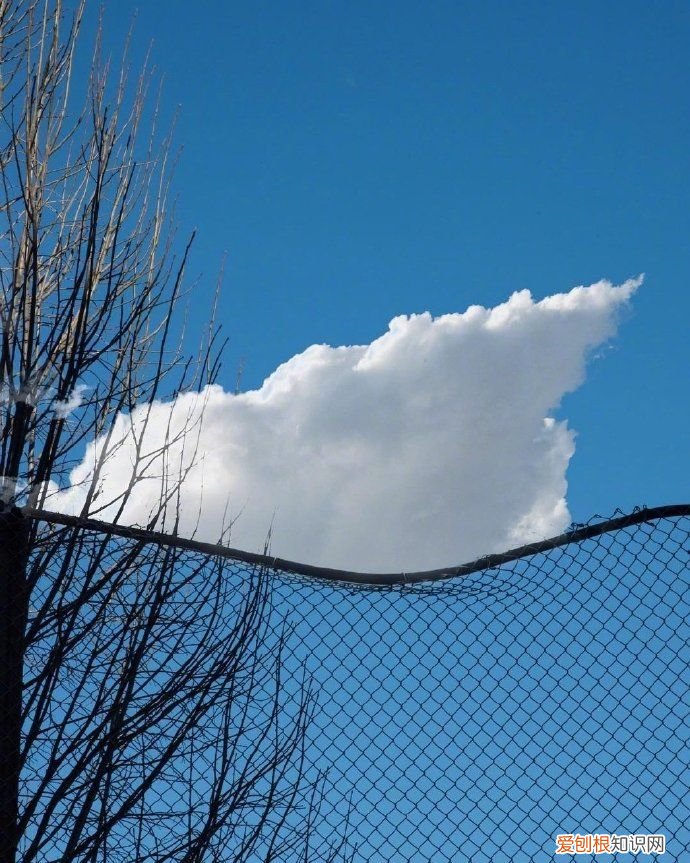 一些有意思的群聊名称 最好听的群名