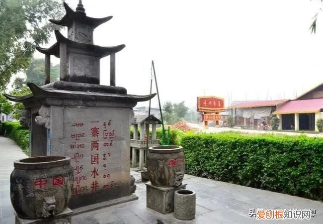 懂了什么是胞波情 胞波是什么意思