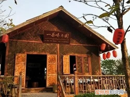 懂了什么是胞波情 胞波是什么意思