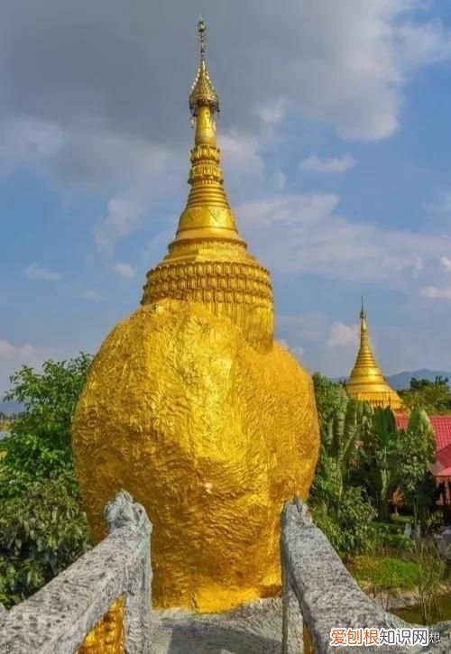 懂了什么是胞波情 胞波是什么意思